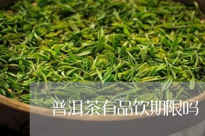 普洱茶有品饮期限吗/2023120570593