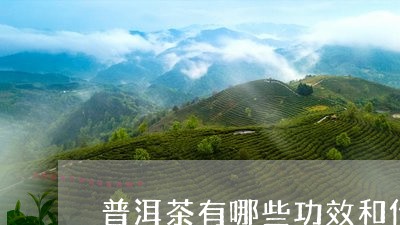 普洱茶有哪些功效和作用禁忌/2023052876048