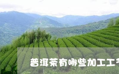 普洱茶有哪些加工工艺/2023080219624