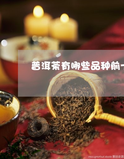 普洱茶有哪些品种前十名排名表/2023121706258