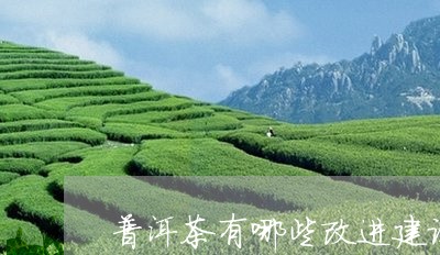 普洱茶有哪些改进建议的地方/2023052906148