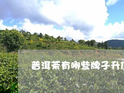 普洱茶有哪些牌子升值快/2023082460713