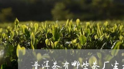 普洱茶有哪些茶厂生产/2023120672826