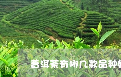 普洱茶有哪几款品种好卖/2023083042836