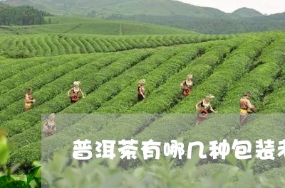 普洱茶有哪几种包装老味道好/2023121740604