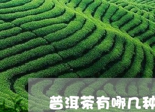 普洱茶有哪几种品牌的好/2023083012826