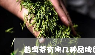 普洱茶有哪几种品牌的茶/2023083006160