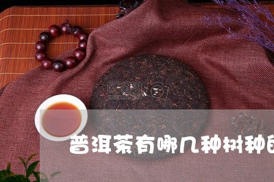 普洱茶有哪几种树种的/2023121726240