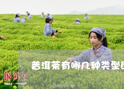 普洱茶有哪几种类型的茶叶/2023121730949