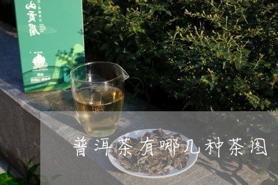 普洱茶有哪几种茶图/2023120513848