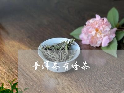 普洱茶有啥茶/2023042877022