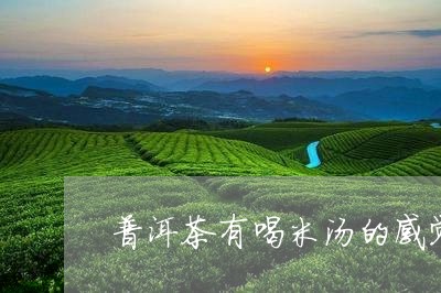 普洱茶有喝米汤的感觉/2023062393935