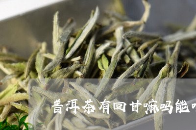 普洱茶有回甘嘛吗能喝吗/2023082416349