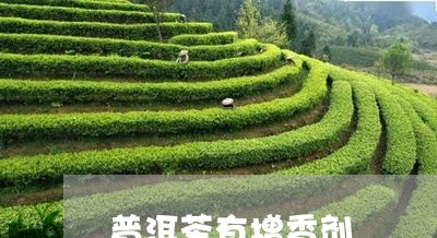 普洱茶有增香剂/2023102607161