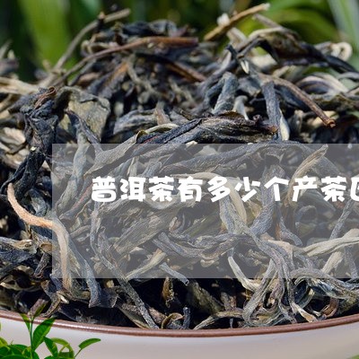 普洱茶有多少个产茶区和产地/2023110787140