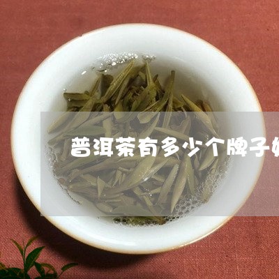 普洱茶有多少个牌子好/2023061529361