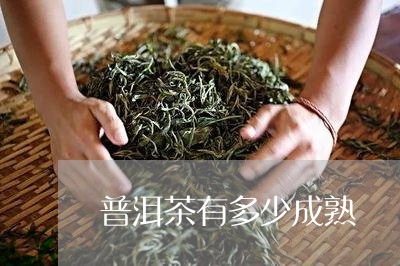 普洱茶有多少成熟/2023101682937