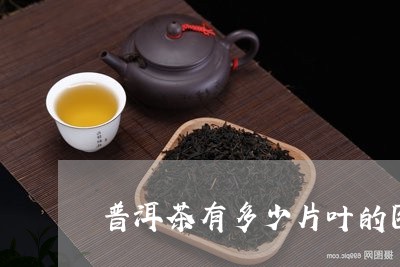 普洱茶有多少片叶的图片/2023082437382