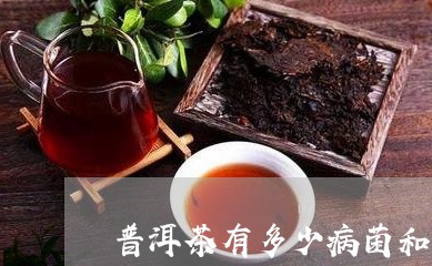 普洱茶有多少病菌和病毒/2023102438470