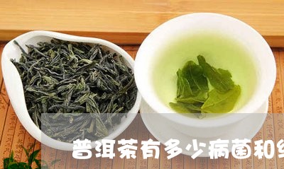 普洱茶有多少病菌和细菌/2023102438360