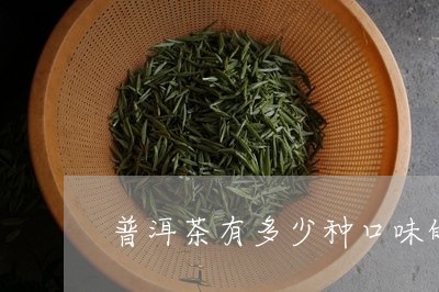 普洱茶有多少种口味的/2023120631505