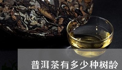 普洱茶有多少种树龄/2023071072706