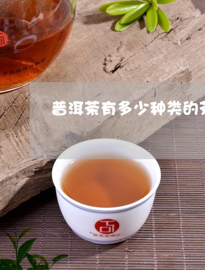 普洱茶有多少种类的茶叶/2023103124828