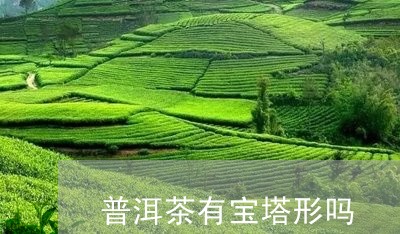 普洱茶有宝塔形吗/2023110712808