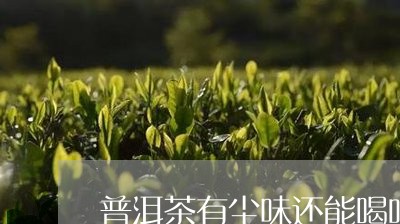 普洱茶有尘味还能喝吗/2023061711926