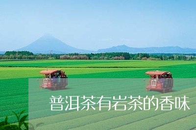 普洱茶有岩茶的香味/2023120502613