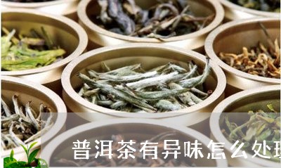 普洱茶有异味怎么处理好喝/2023110277158