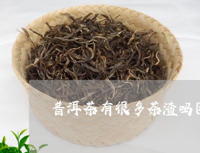 普洱茶有很多茶渣吗图片/2023110102504