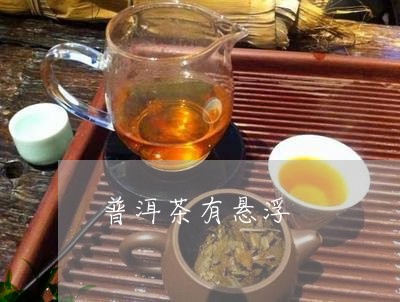 普洱茶有悬浮/2023042723899