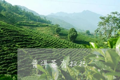 普洱茶有扫把/2023042702286