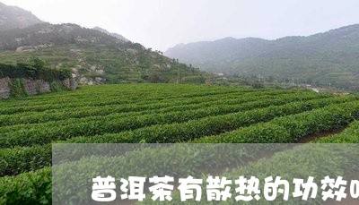 普洱茶有散热的功效吗/2023062158282