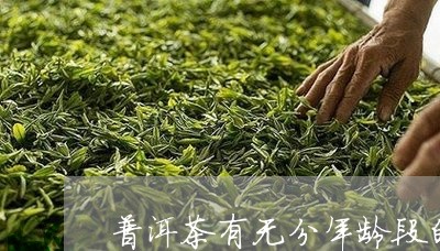 普洱茶有无分年龄段的/2023092789370