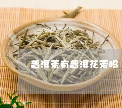 普洱茶有普洱花茶吗/2023101692515