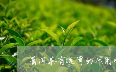 普洱茶有暖胃的作用吗/2023120662825