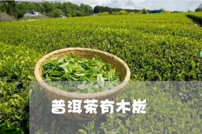 普洱茶有木炭/2023042744347