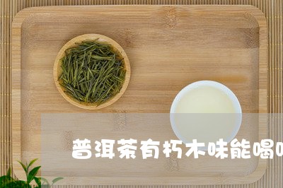 普洱茶有朽木味能喝吗/2023072474960