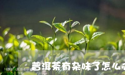 普洱茶有杂味了怎么办/2023092693946