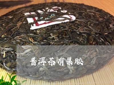 普洱茶有果胶/2023091359493