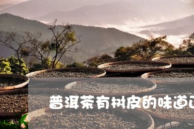 普洱茶有树皮的味道正常吗/2023112850704