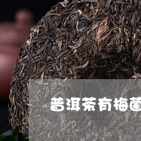 普洱茶有梅菌吗还能喝吗/2023082722592