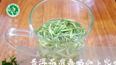 普洱茶有毒吗会上火吗/2023062459382