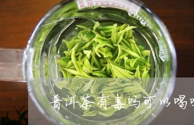 普洱茶有毒吗可以喝吗/2023093054037