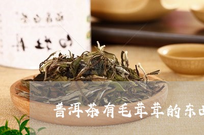 普洱茶有毛茸茸的东西/2023062136069