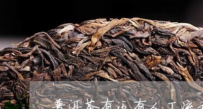 普洱茶有没有人工流程/2023092564958