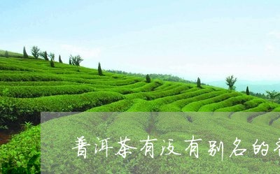 普洱茶有没有别名的香味/2023112832615