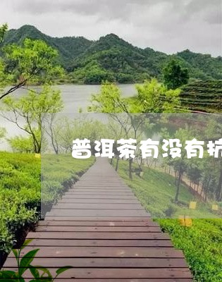 普洱茶有没有抗氧化效果/2023082403151